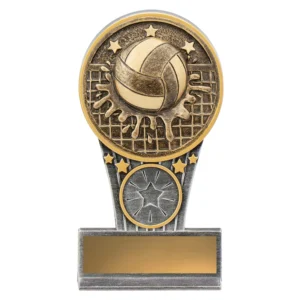 Silver and gold water polo resin trophy with ball over net design, star accents and engraving plate on base