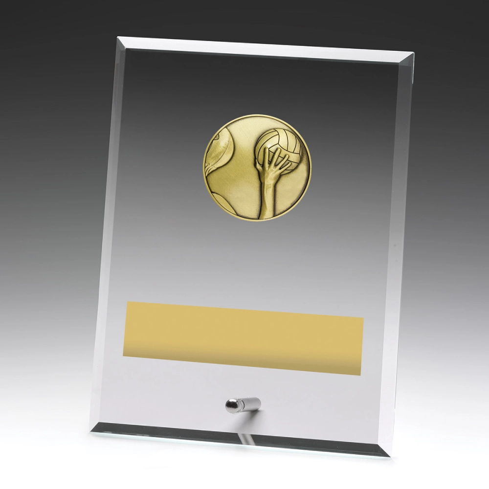 Large water polo clear glass award with rectangular panel, hand and ball insert, metal pin stand, and engraving plate