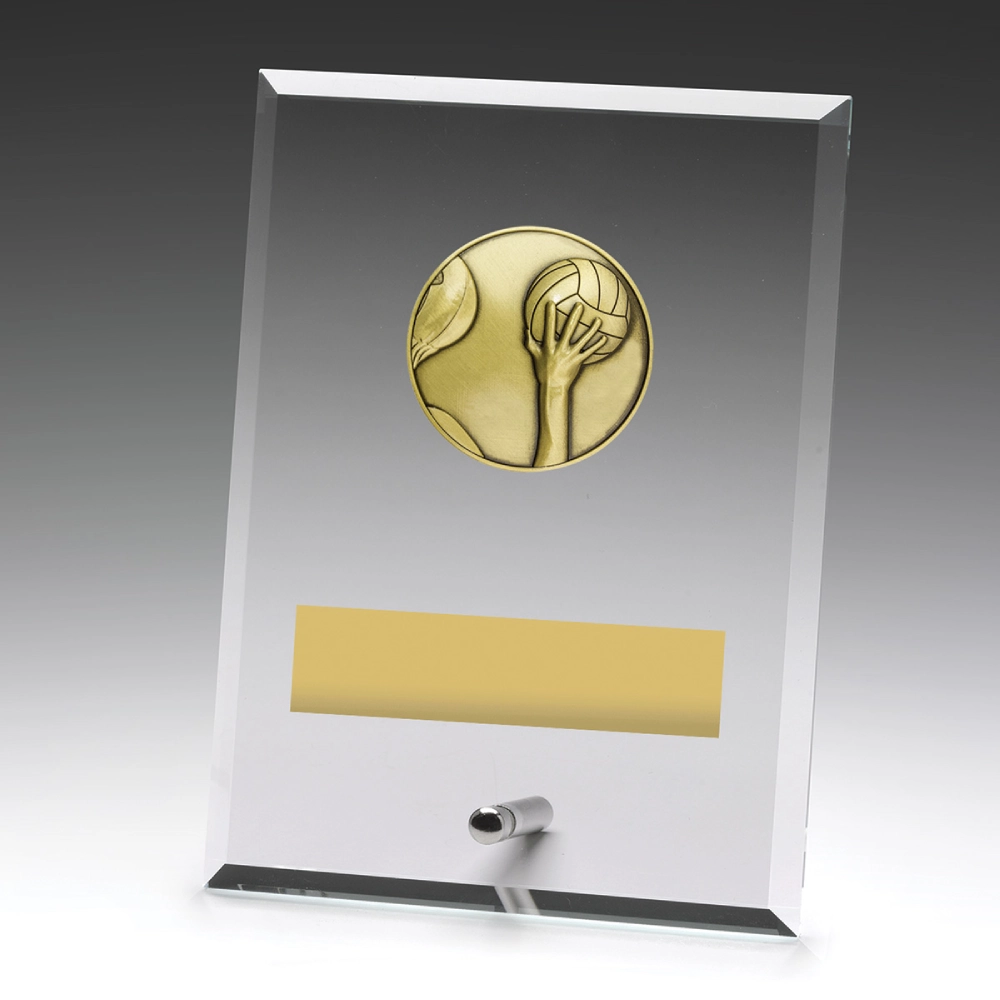 Medium water polo clear glass award with rectangular panel, hand and ball insert, metal pin stand, and engraving plate