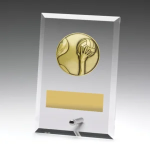 Small water polo clear glass award with rectangular panel, hand and ball insert, metal pin stand, and engraving plate