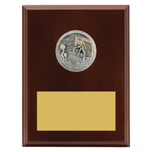 Large water polo timber plaque with goalkeeper scene medal insert and engraving plate