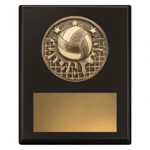Small water polo timber plaque with round medal insert and engraving plate
