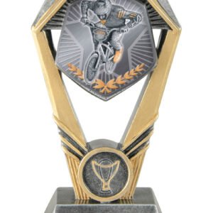 Hex Tower BMX Award