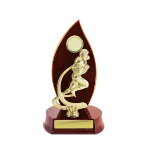 Small gold American football player trophy on a red flame shaped backing with black base and engraving plate