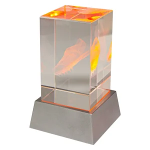 Athletics crystal block trophy with laser engraved running shoe and illuminated base