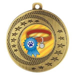 Gold dog medal with star border and centre insert showing collar and award ribbon design