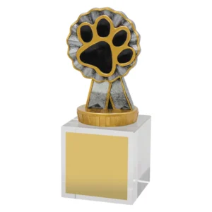 Small dog paw trophy with gold and silver top mounted on clear crystal base with engraving plate