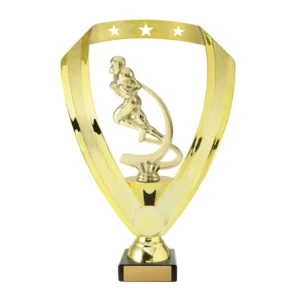 Small gold American football player trophy with shield frame design on a black base with engraving plate