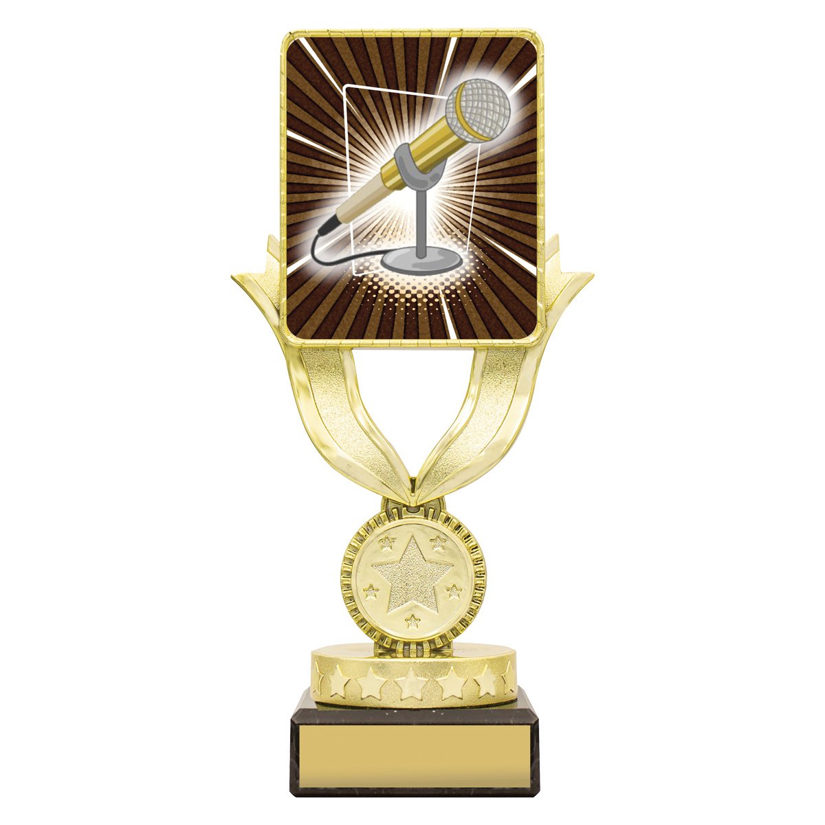 Lynx Sentry Public Speaking