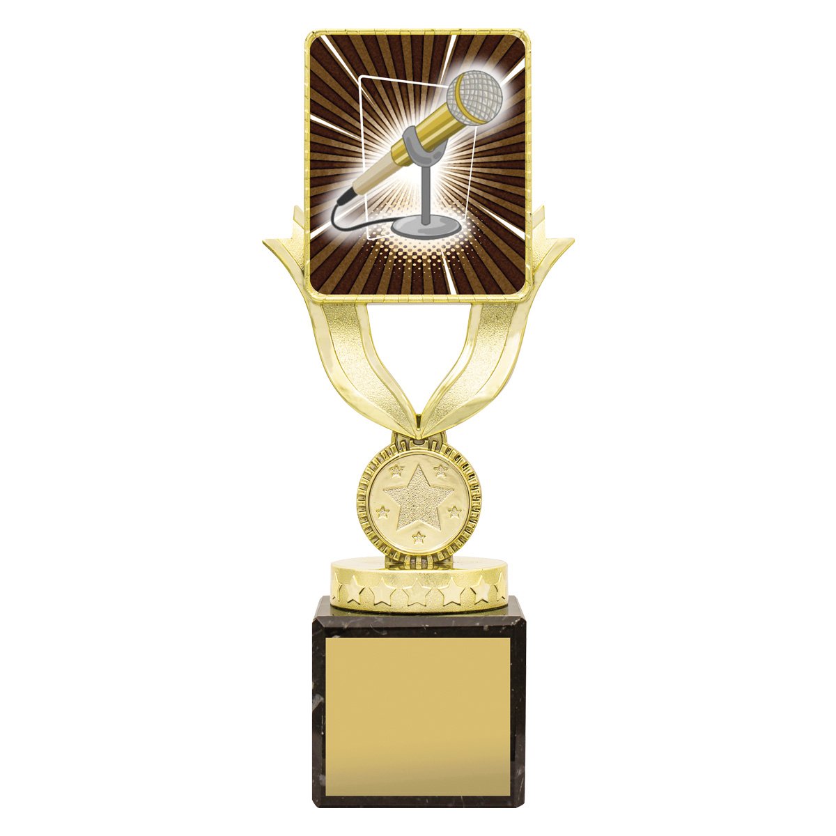 Lynx Sentry Public Speaking - Image 2