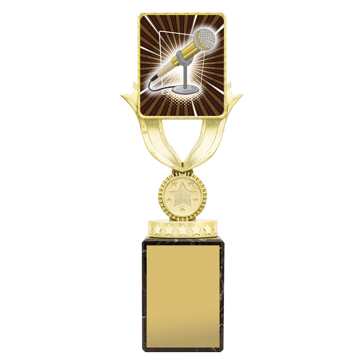 Lynx Sentry Public Speaking - Image 3