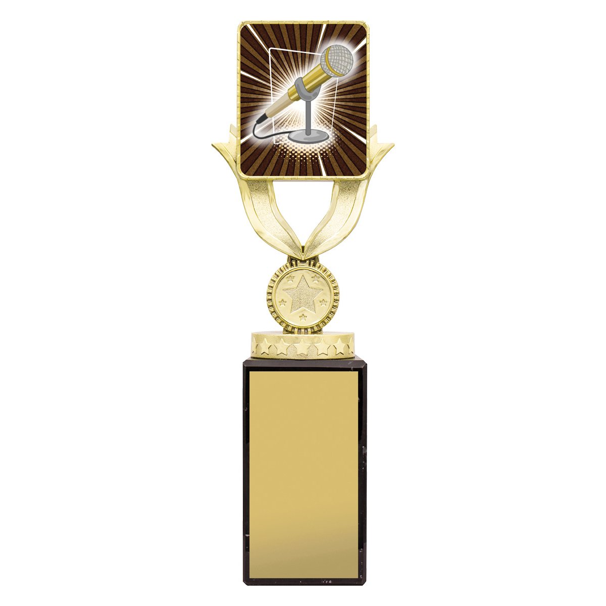 Lynx Sentry Public Speaking - Image 4