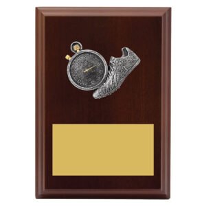 Peak Plaque Track Award