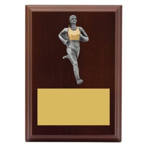 Peak Plaque Female Running Award