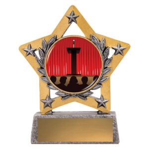 Mini Star Colour - Public Speaking