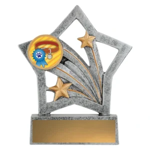 Small pet award resin trophy with star design, dog collar and ribbon centre insert, and engraving plate on base
