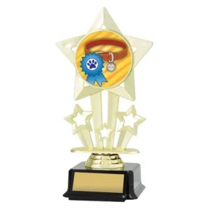 Pet star trophy with dog collar centre insert, star design, and black base with engraving plate.