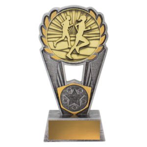 Cross Country Polaris