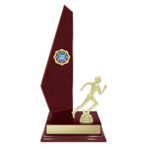 Vintage Starboard Athletics