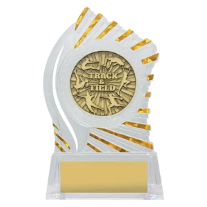 Clear acrylic track and field trophy with gold multi event insert and sunburst edge detail on base with engraving plate