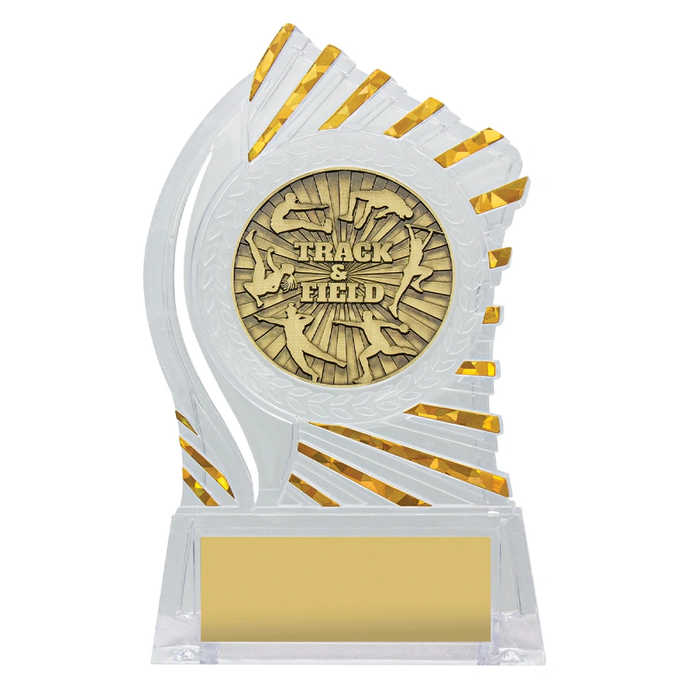 Clear acrylic track and field trophy with gold multi event insert and sunburst edge detail on base with engraving plate