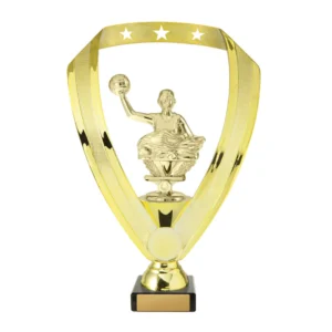 Small gold water polo trophy with player figure inside shield frame on black base with engraving plate