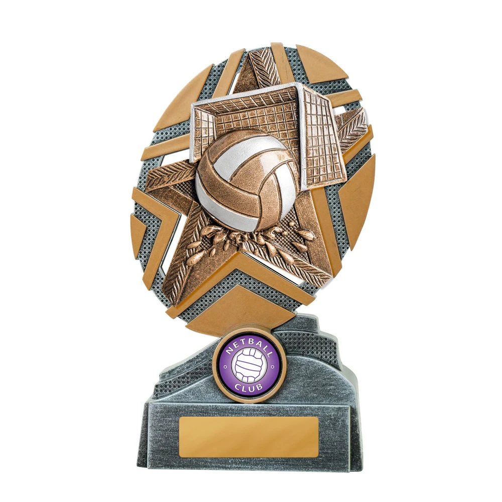 Large water polo trophy with star design, ball and goal detail, and engraving plate on base