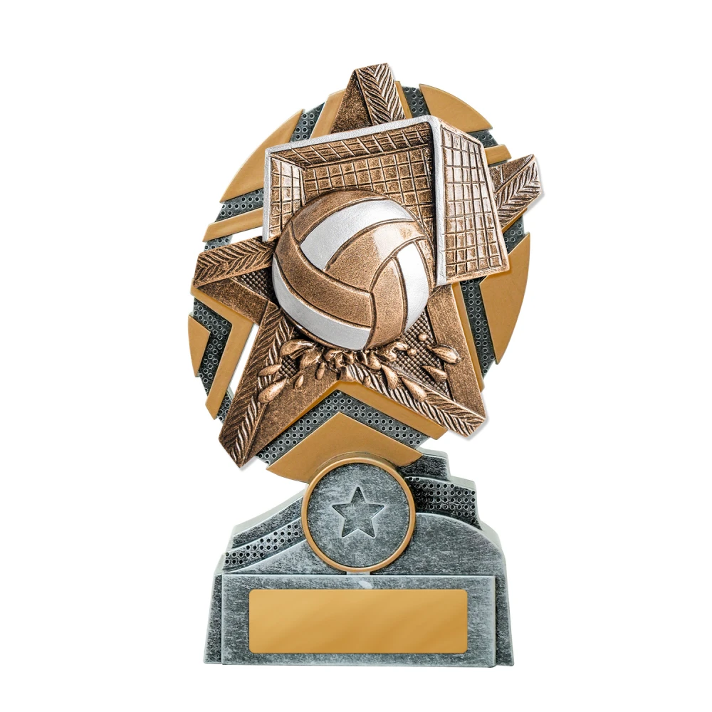 Medium water polo trophy with star design, ball and goal detail, and engraving plate on base