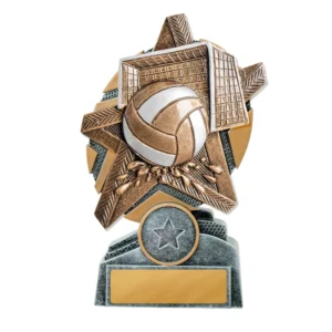 Small water polo trophy with star design, ball and goal detail, and engraving plate on base