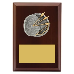 Small timber archery award plaque with silver target and gold arrows motif, and gold engraving plate on polished wood board