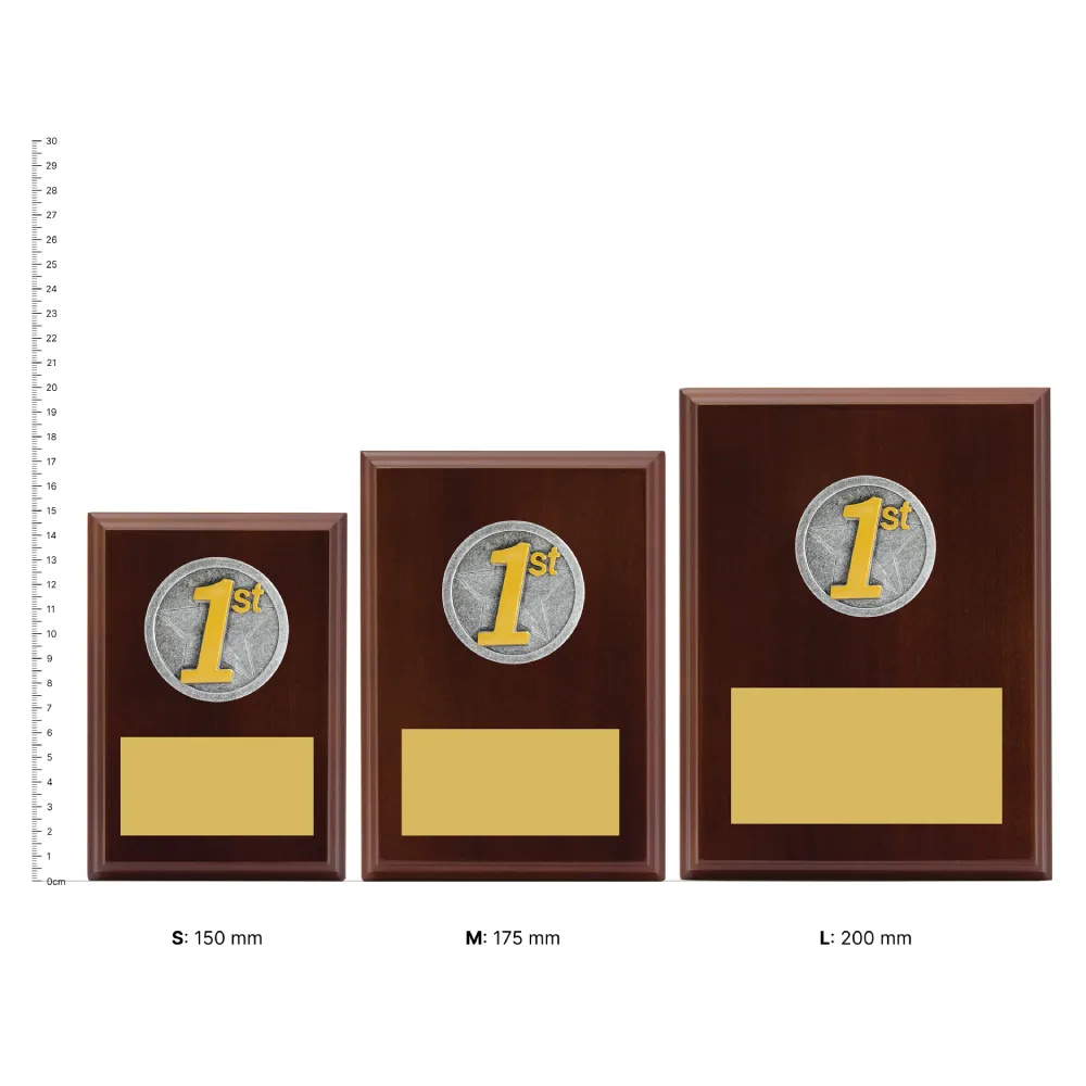 1st Place Peak Plaques next to ruler
