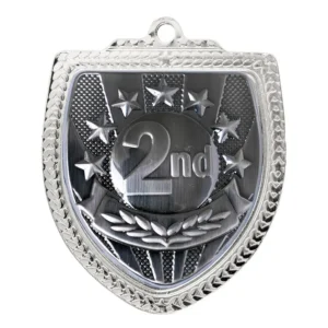 Silver / gold shield medal - 2nd with iron construction