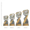 Academic Arclight trophies next to ruler