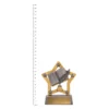 Academic Mini Star trophy next to ruler Academic Mini Star trophy next to ruler