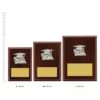 Academic Peak Plaque trophies next to ruler