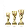 American Football Carnival Cup American Football Carnival Cup trophies next to ruler