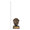 American Football Cosmos Super Mini American Football Cosmos Super Mini next to ruler