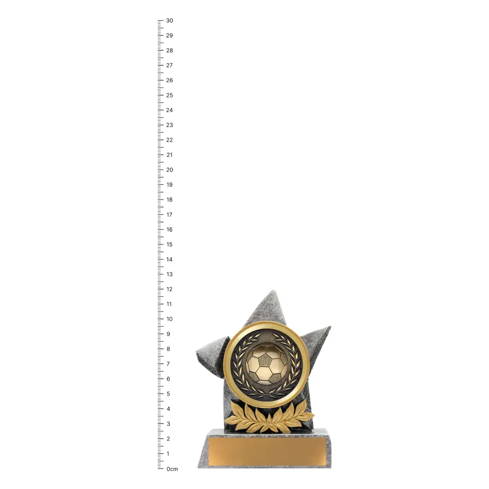 Antique Football Argo trophy next to ruler Antique Football Argo trophy next to ruler