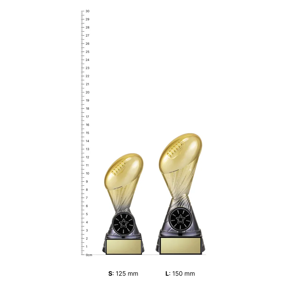 Aussie Rules Fortis Black & Gold Aussie Rules Fortis Black & Gold trophies next to ruler
