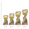 Badminton Arclight Colour trophies next to ruler