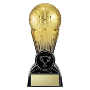 Black / gold basketball mercury - black / gold with resin construction