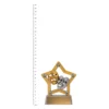Drama Mini Star trophy next to ruler Drama Mini Star trophy next to ruler