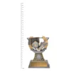 Football Classic trophy next to ruler Football Classic trophy next to ruler