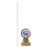 GOAT Aster trophy next to ruler GOAT Aster trophy next to ruler