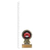 Gaming Aster trophy next to ruler