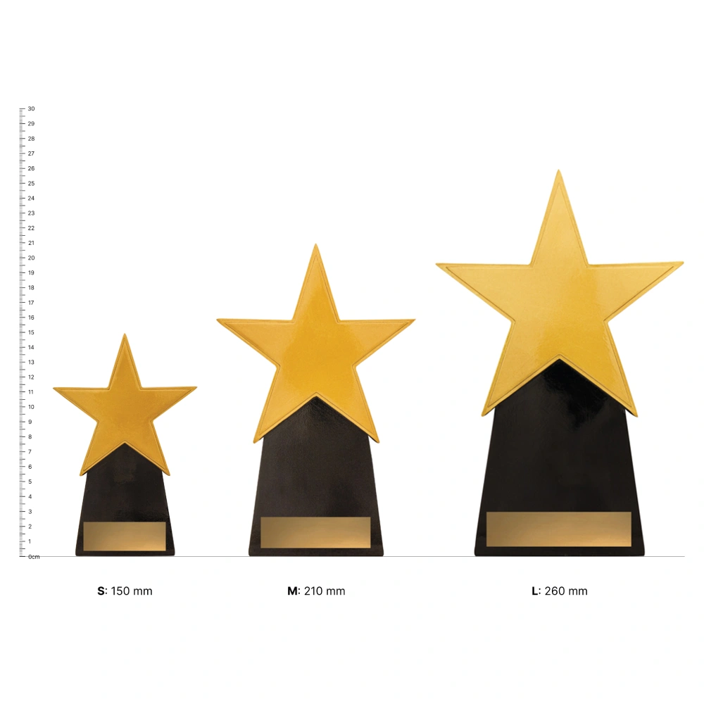 Gold Star trophies next to ruler Gold Star trophies next to ruler
