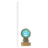 IT Aster trophy next to ruler IT Aster trophy next to ruler