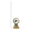 Literature Aster trophy next to ruler Literature Aster trophy next to ruler
