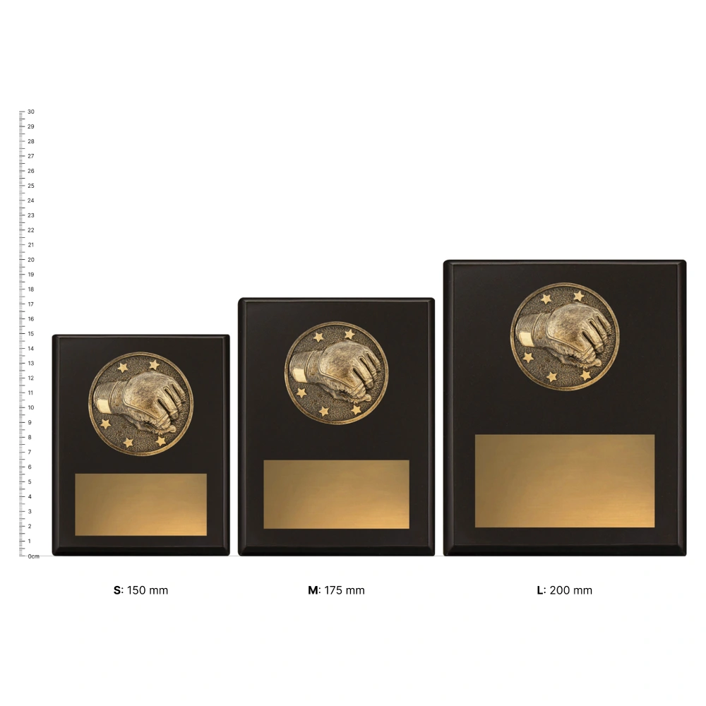MMA Challenge Plaques next to ruler