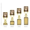 Maths Lynx Sentry trophies next to ruler Maths Lynx Sentry trophies next to ruler